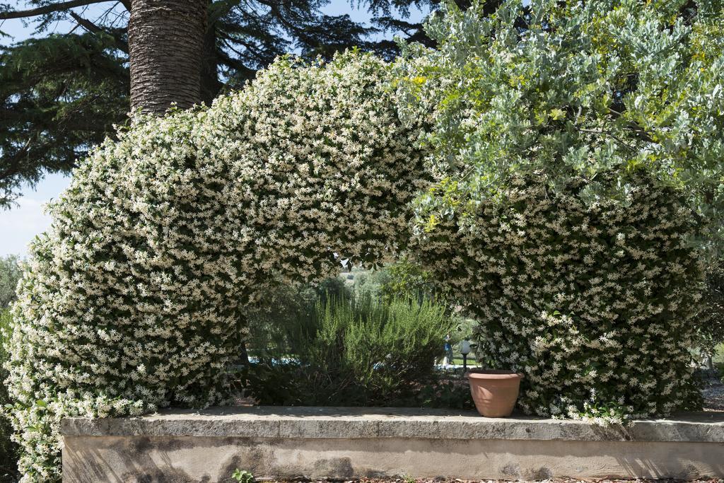 Agriturismo Borgo Degli Ulivi Canicattini Bagni Exterior foto